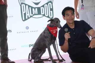 Illustration de l'article : Kodi remporte la Palm Dog Woopets 2024 après avoir crevé l’écran dans la comédie « Le Procès du chien »