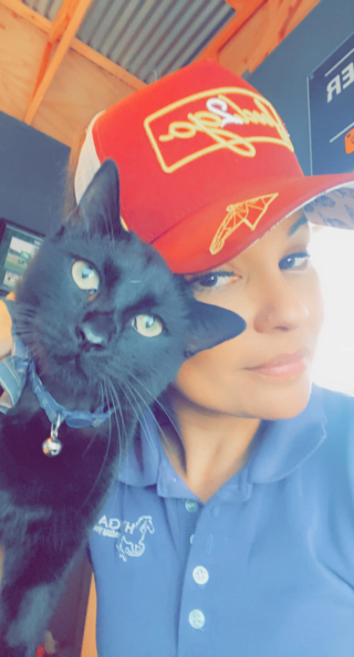 Illustration de l'article : Après un abandon et une intervention chirurgicale importante à la patte, ce chat devient la mascotte des employés d’un magasin