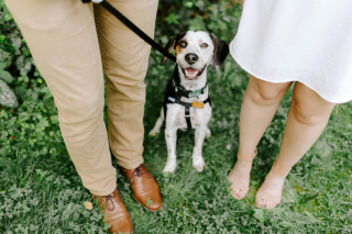 Illustration de l'article : Elle emmène son chien lors d’un premier rendez-vous et reçoit une pluie de reproches