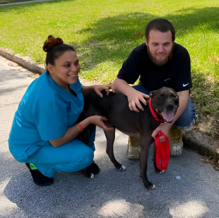 Illustration de l'article : Un homme sans domicile fixe se bat pour obtenir un travail afin de pouvoir r&eacute;cup&eacute;rer son chien 