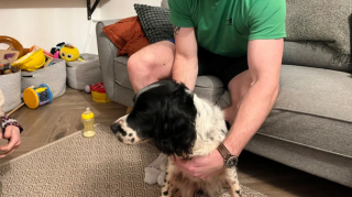 Illustration de l'article : Après 2 mois de recherches intensives, des propriétaires retrouvent trace de leur chienne perdue grâce à un agriculteur