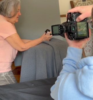 Illustration de l'article : Un photographe passionné suit l’impressionnante croissance d’un Maine Coon durant 1 an (vidéo)