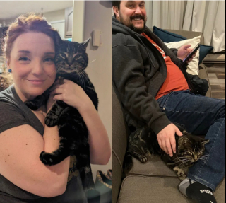 Illustration de l'article : Parti au refuge pour adopter un chat, ce couple a la plus belle des surprises