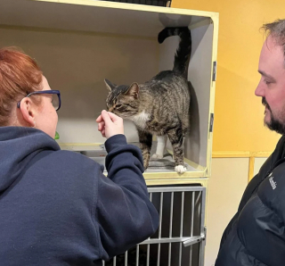 Illustration de l'article : Parti au refuge pour adopter un chat, ce couple a la plus belle des surprises