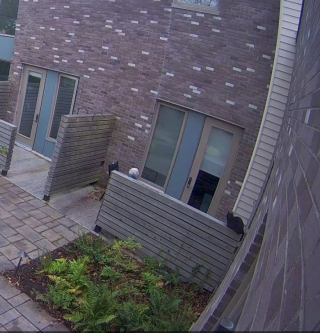 Illustration de l'article : Un chat au pass&eacute; difficile s&rsquo;absente tous les jours de chez lui dans le secret pour aider les personnes malades