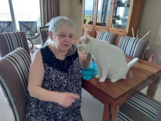 Illustration de l'article : Une femme lègue ses biens à une association et assure ainsi à son chat d’être toujours entouré