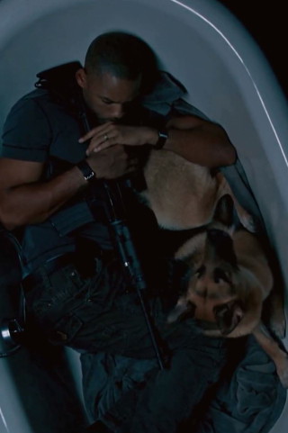 Illustration de l'article : L’hommage poignant de l’acteur Will Smith à sa partenaire de cinéma Abbey, une Berger Allemand devenue célèbre elle aussi (vidéo)