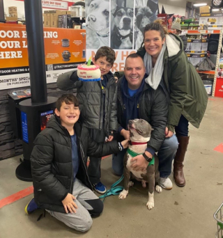 Illustration de l'article : Un chien r&eacute;serve un accueil des plus chaleureux &agrave; un peintre venu chez ses propri&eacute;taires (vid&eacute;o)