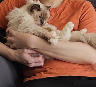 Illustration de l'article : À la veille de dire adieu à son meilleur ami félin, un homme pose devant l’objectif avec une grande émotion