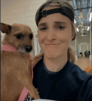 Illustration de l'article : Après un abandon traumatisant, un chien trouve refuge dans les bras d’une bénévole soutenante (vidéo)