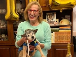 Illustration de l'article : Recueillie par une famille aimante, une chienne a pris sa revanche sur la vie en fêtant ses 24 ans