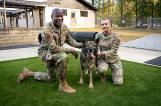 Illustration de l'article : Liés par leur carrière militaire commune, une femme et un Berger Allemand se retrouvent après plusieurs années de séparation