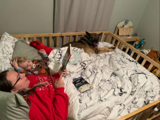 Illustration de l'article : Liés par leur carrière militaire commune, une femme et un Berger Allemand se retrouvent après plusieurs années de séparation