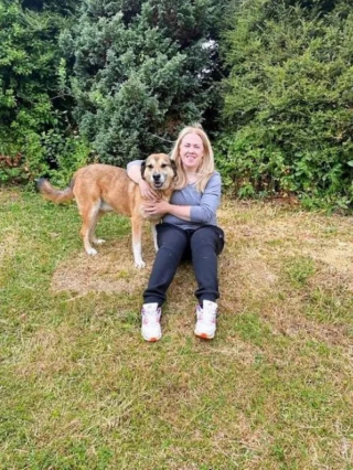 Illustration de l'article : Après 8 ans à attendre qu’on lui tende la main, un chien réalise son vœu le plus cher