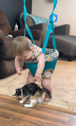 Illustration de l'article : Walker et Lemon : la naissance d’une belle amitié entre un bébé et un chaton (vidéo)