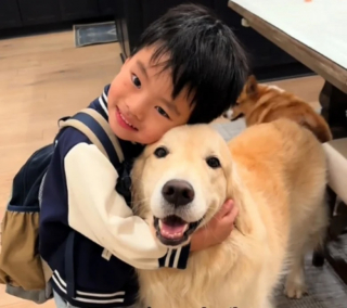 Illustration de l'article : Tous les jours, à la même heure, ce Golden Retriever se positionne devant la porte pour célébrer le retour de son jeune propriétaire (vidéo)