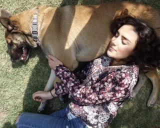 Illustration de l'article : Après 6 mois d’absence, une jeune femme organise une surprise pour son chien durant sa balade quotidienne