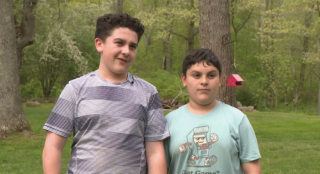 Illustration de l'article : Bloqué dans un arbre depuis plusieurs jours, un chat reçoit l’aide de deux jeunes garçons déterminés