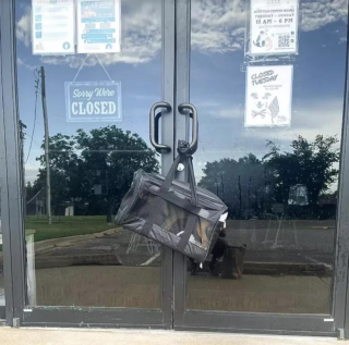 Illustration de l'article : Déposée dans un sac à la porte d’un refuge, une chienne s’accroche à l’espoir de retrouver une nouvelle famille