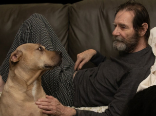 Illustration de l'article : 10 photos de chiens particulièrement expressifs