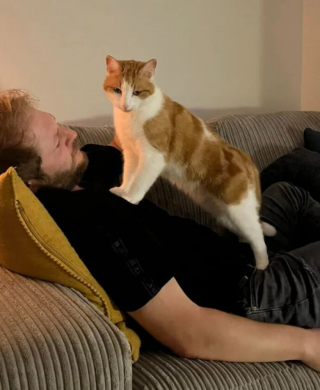 Illustration de l'article : 10 photos de chats qui s’invitent chez leurs voisins