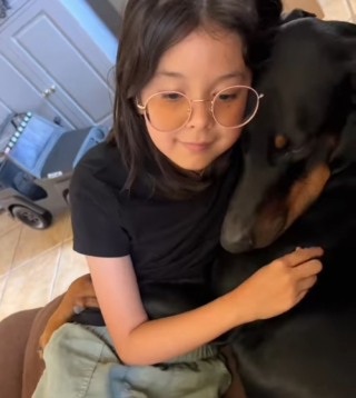 Illustration de l'article : Une vidéo émouvante montre le lien tissé entre une enfant et son Dobermann