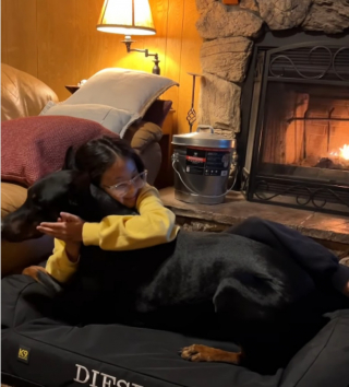 Illustration de l'article : Une vidéo émouvante montre le lien tissé entre une enfant et son Dobermann