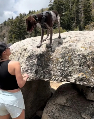 Illustration de l'article : Un chien rejoint sa maîtresse à la fin d’un marathon et court avec elle jusqu’à l’arrivée (vidéo)