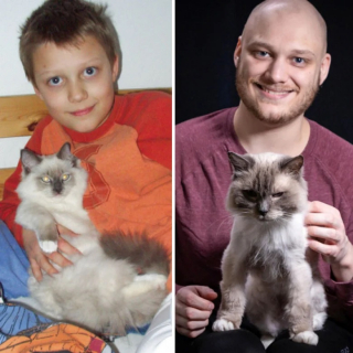 Illustration de l'article : 10 photos montrant des chats et chiens grandir avec leurs maîtres