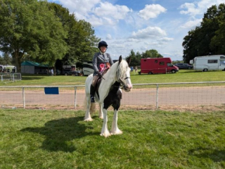 Illustration de l'article : Un poulain abandonné devient cheval de concours après avoir été sauvé