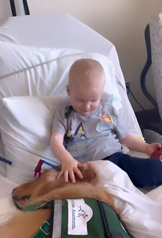 Illustration de l'article : Un chien aide un garçon de 2 ans atteint d’un cancer à retrouver le sourire (vidéo)