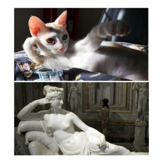 Illustration de l'article : 15 photos prouvant que les chats sont de véritables œuvres d’art
