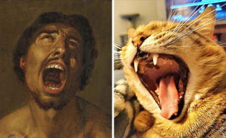 Illustration de l'article : 15 photos prouvant que les chats sont de véritables œuvres d’art