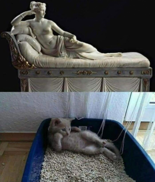 Illustration de l'article : 15 photos prouvant que les chats sont de véritables œuvres d’art