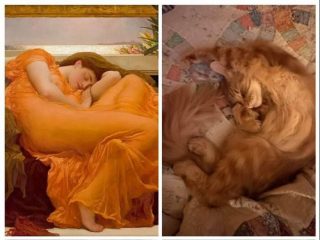 Illustration de l'article : 15 photos prouvant que les chats sont de véritables œuvres d’art