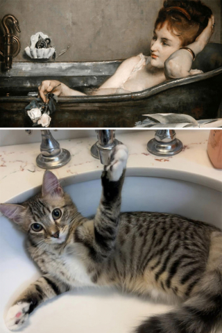 Illustration de l'article : 15 photos prouvant que les chats sont de véritables œuvres d’art