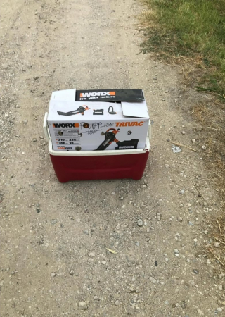 Illustration de l'article : Des bénévoles trouvent une boîte abandonnée contenant des chiots malvoyants et malentendants