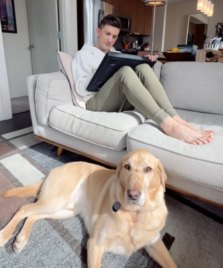 Illustration de l'article : Ne croyant pas à la cécité d’un client, un employé de restaurant l’oblige à quitter l’établissement avec son chien-guide