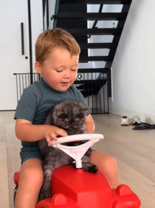 Illustration de l'article : Un tout-petit et son chat profitent ensemble d’une tendre séance de lecture (vidéo)