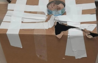 Illustration de l'article : Un chat abandonné dans un carton trouve un humain et commence une nouvelle vie