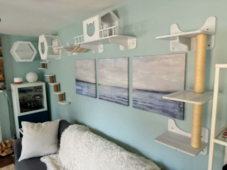 Illustration de l'article : 10 installations pour chats originales