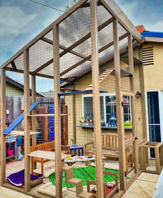 Illustration de l'article : 10 installations pour chats originales