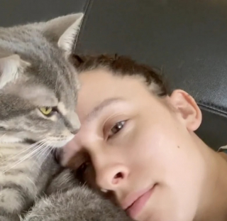 Illustration de l'article : Ce chat ne reconnaît plus sa maîtresse après son passage chez le coiffeur (vidéo)