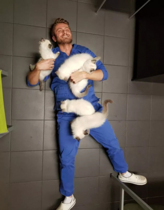 Illustration de l'article : 10 photos montrant la vie animée des cliniques vétérinaires