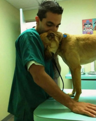 Illustration de l'article : 10 photos montrant la vie animée des cliniques vétérinaires