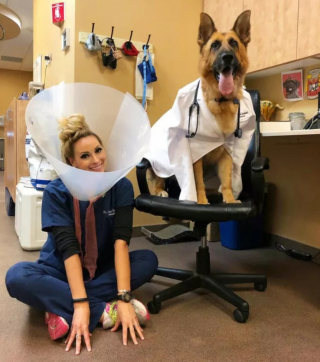 Illustration de l'article : 10 photos montrant la vie animée des cliniques vétérinaires