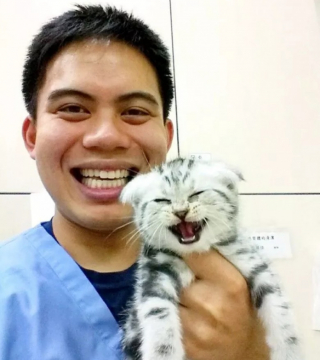 Illustration de l'article : 10 photos montrant la vie animée des cliniques vétérinaires