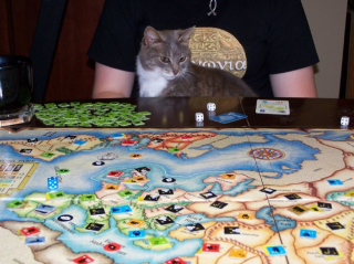 Illustration de l'article : 10 photos de chats jouant aux jeux de société à leur façon