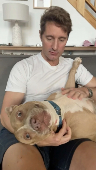 Illustration de l'article : Une famille d’accueil découvre avec beaucoup d’émotion que leur protégée les attend tous les jours derrière la porte d’entrée