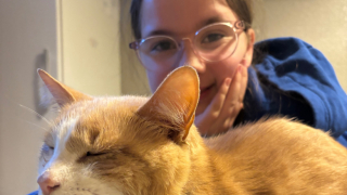 Illustration de l'article : Habitué à côtoyer l’université comme sa seconde maison, un chat tombe gravement malade et reçoit le soutien émouvant des étudiants